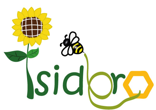 Isidoro Formazione