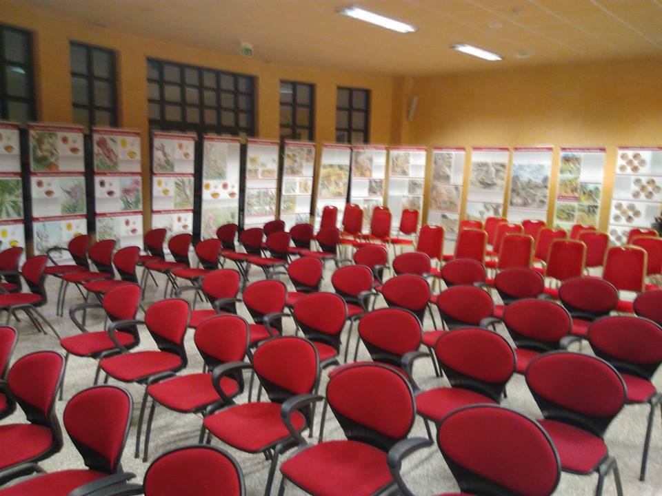 convegno-11
