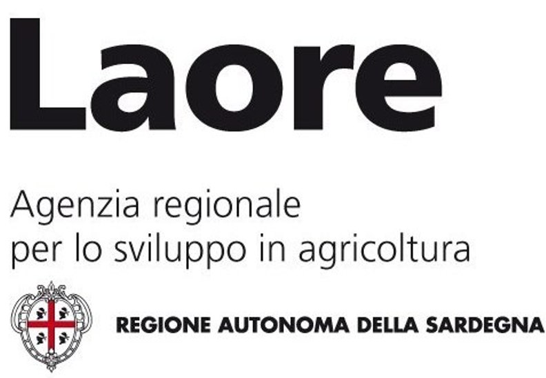 laore2