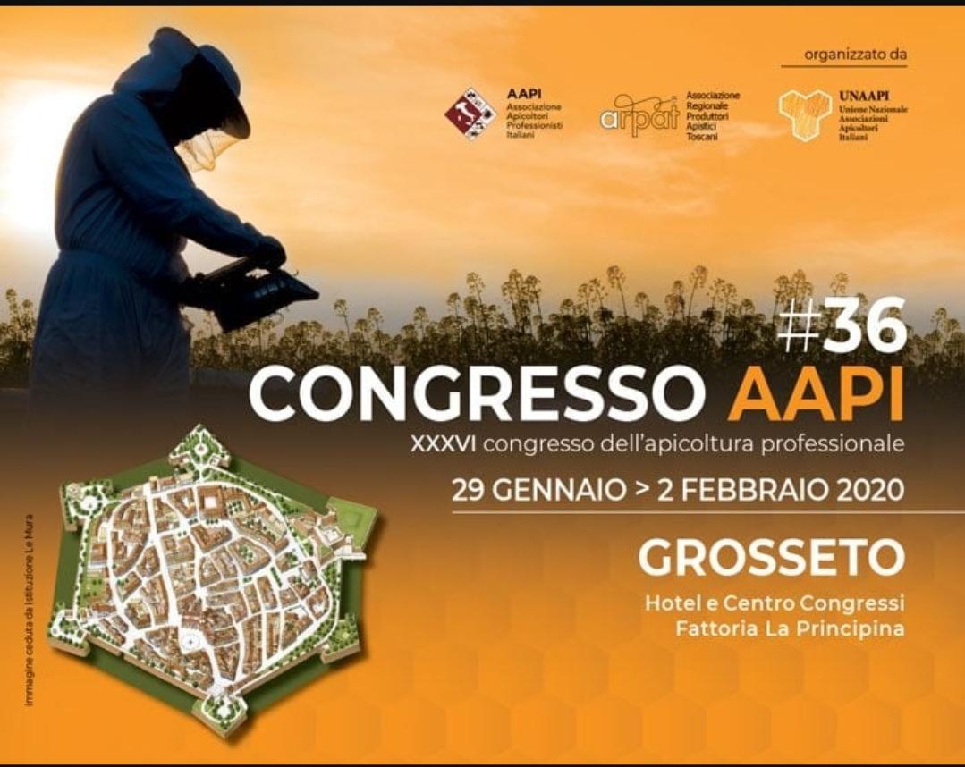 grosseto
